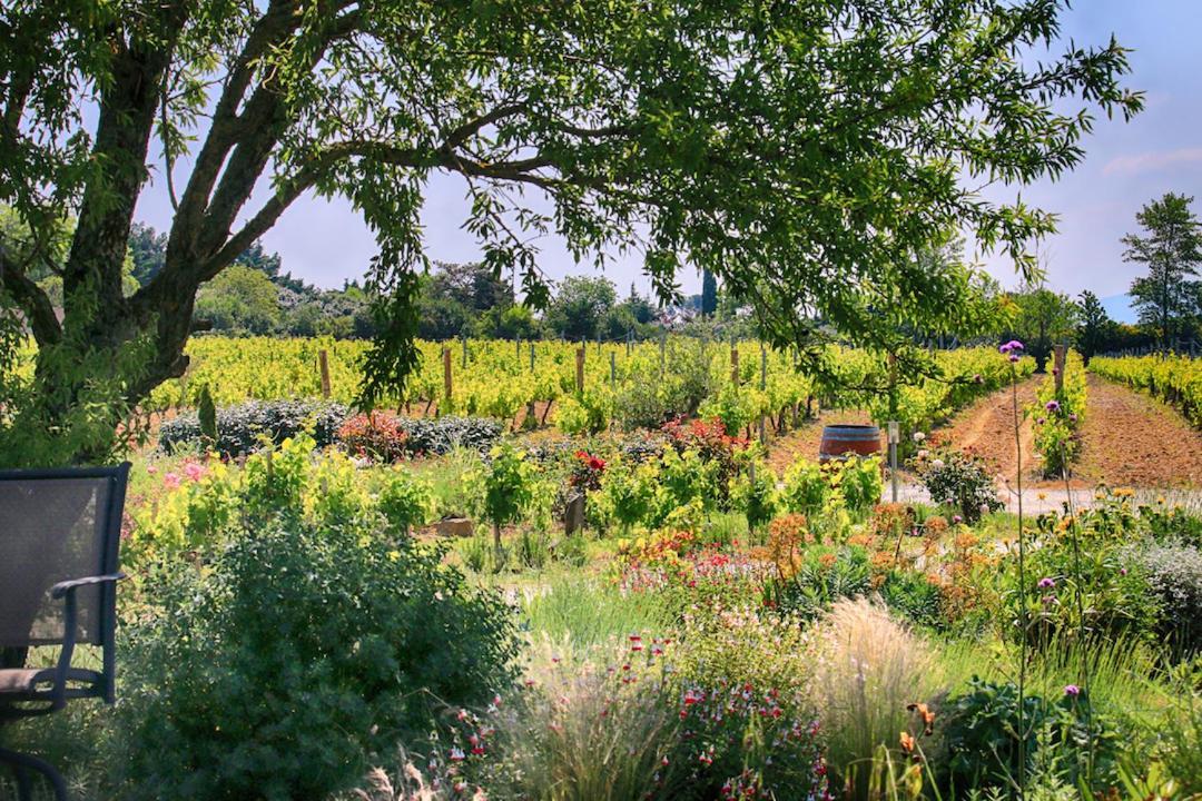 O'Vineyards B&B Carcassonne Villemoustaussou Esterno foto