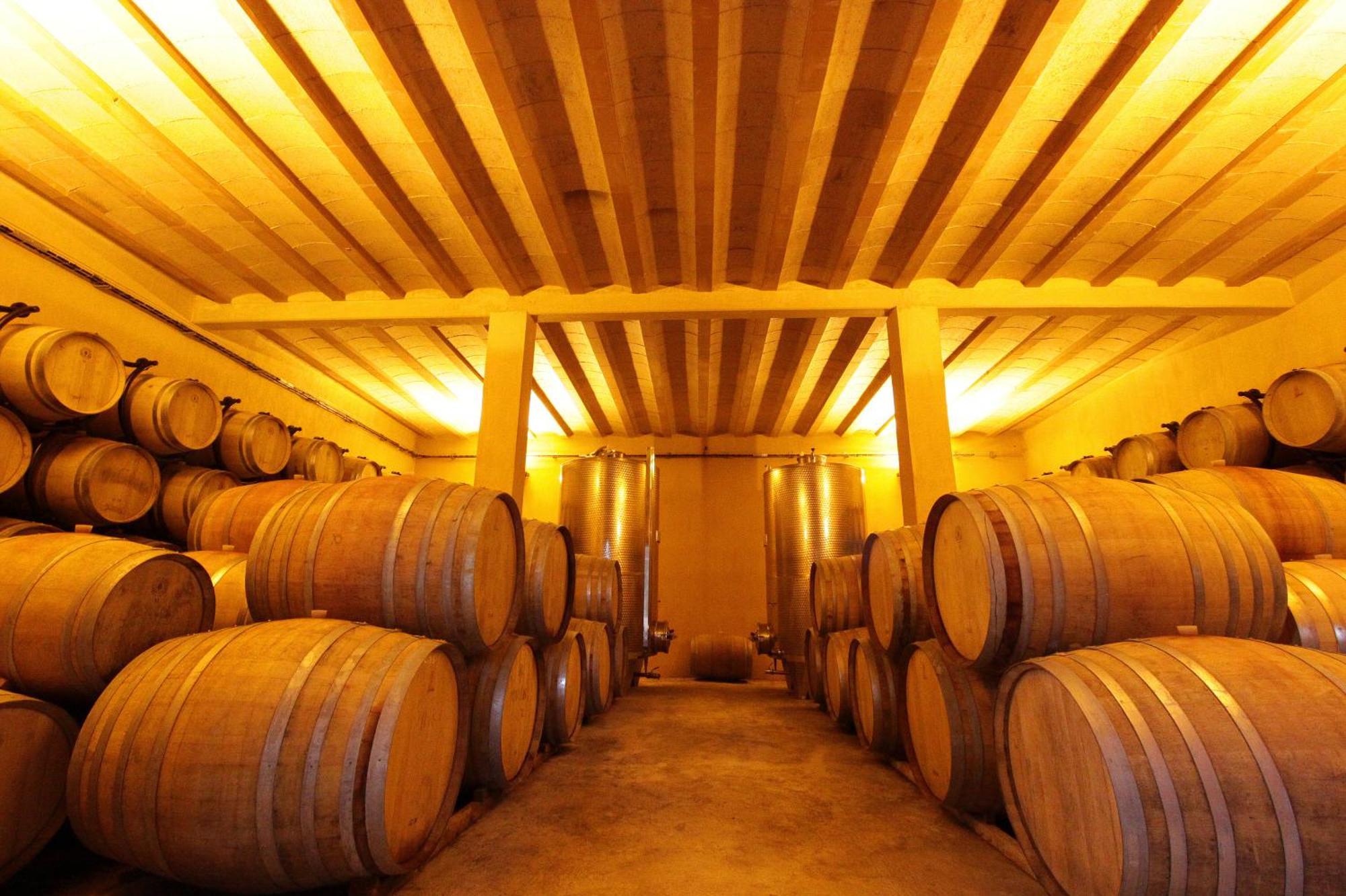 O'Vineyards B&B Carcassonne Villemoustaussou Esterno foto
