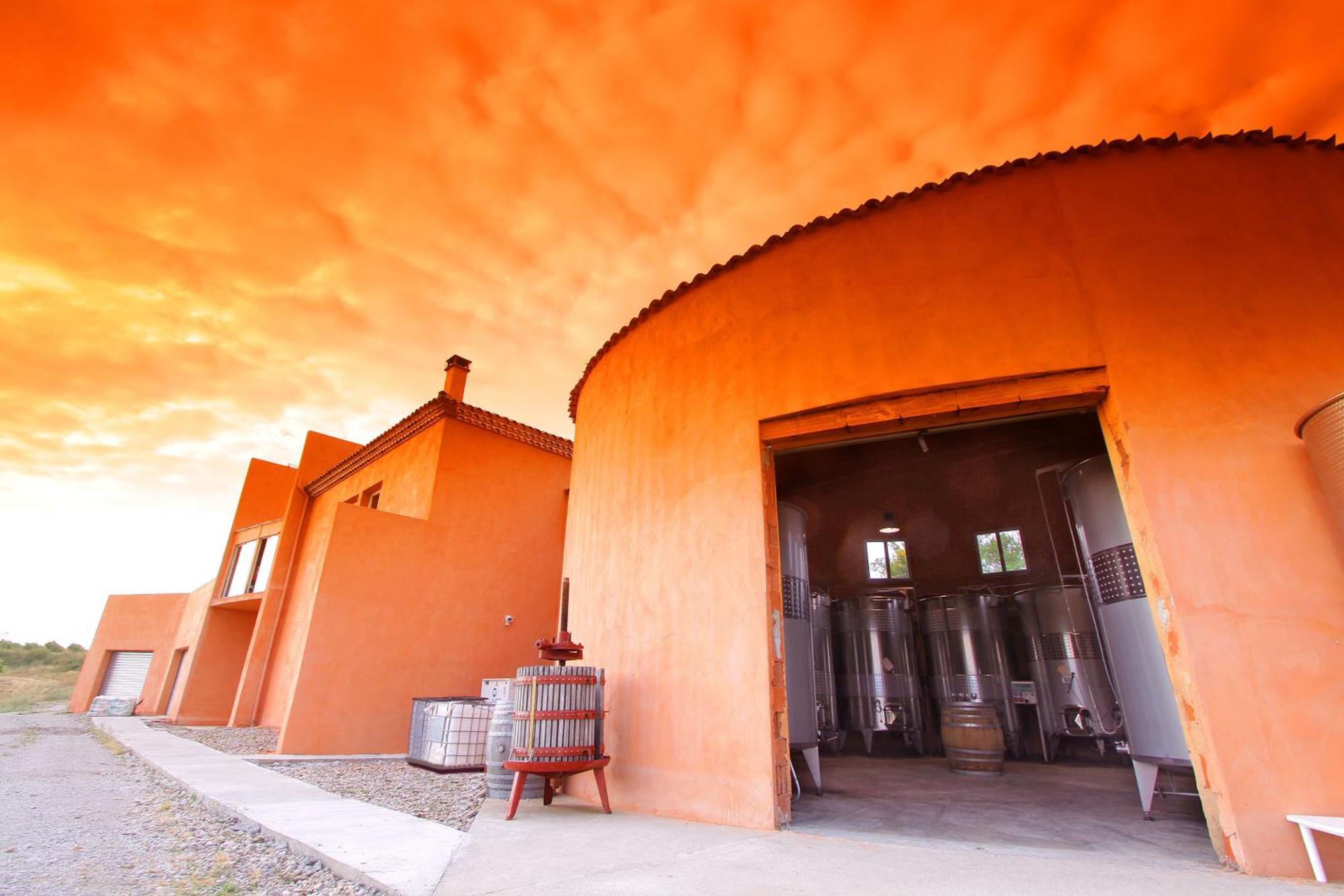O'Vineyards B&B Carcassonne Villemoustaussou Esterno foto